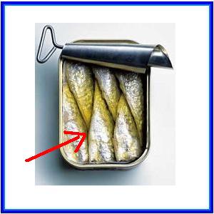 http://recreaclic.free.fr/lecture/1code/imagier/sardine.jpg