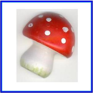 http://recreaclic.free.fr/lecture/1code/imagier/champignon.jpg
