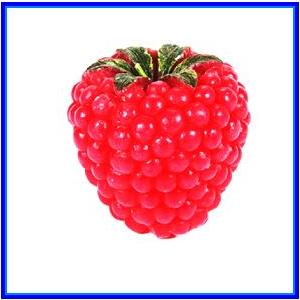 http://recreaclic.free.fr/lecture/1code/imagier/framboise.jpg