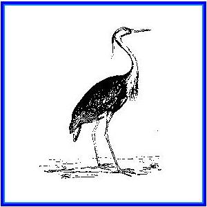 http://recreaclic.free.fr/lecture/1code/imagier/h%e9ron.JPG