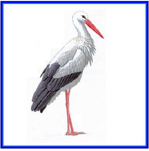 http://recreaclic.free.fr/lecture/1code/imagier/cigogne.jpg
