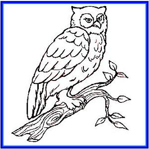 http://recreaclic.free.fr/lecture/1code/imagier/hibou.JPG